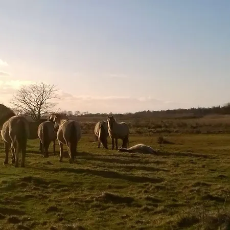 Haupthaus Casa vacanze Pommerby (Gelting)