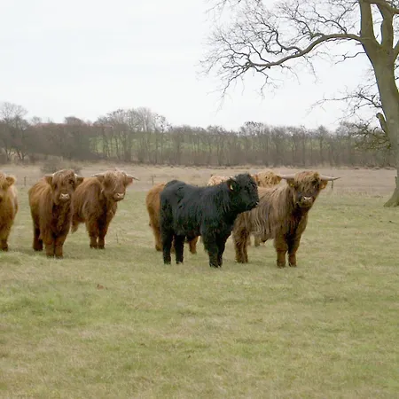 Casa vacanze Haupthaus Pommerby (Gelting)